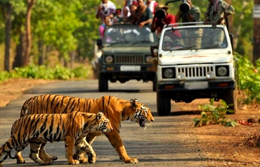 IZY TOUR - MATHURA